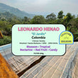 Leonardo Henao ( Filter Roasted )
