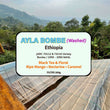 Ayla Bombe - Washed ( Filter Roasted )