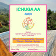 Ichuga AA ( Filter Roasted )