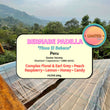 Bernabe Padilla - Gesha ( Filter Roasted )