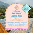 Melao - Pink Bourbon ( Filter Roasted )