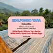 Edifonso Yara ( Filter Roasted )