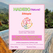 Hadeso - Natural ( Filter Roasted )