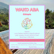 Wako Aba ( Filter Roasted )