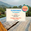 Floripondio Natural Carbonic - Los Rodriguez ( Filter Roasted )