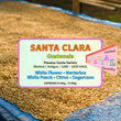 Santa Clara - Panama Gesha ( Espresso Roasted )