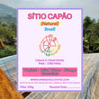 Sítio Capão Natural ( Filter Roasted )