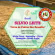 Silvio Leite ( Espresso Roasted )