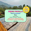 Pedro Padilla ( Filter Roasted )