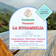La Bugambilia - Pacamara ( Filter Roasted )