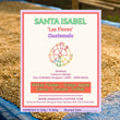 Santa Isabel ( Espresso Roasted )