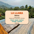 La Llama ( Filter Roasted )