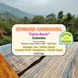 Edward Sandoval - Canta Ranas ( Filter Roasted )