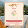 Hadeso - Natural Organic ( Filter Roasted )