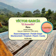 Víctor García - Gesha ( Filter Roasted )