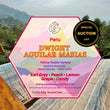 Dwight Aguilar Masias- Yellow Gesha, Auction lot #7( Filter Roasted )