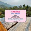 Sakura - Natural ( Filter Roasted )