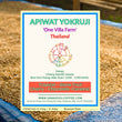 Apiwat Yokruji ( Espresso Roasted )